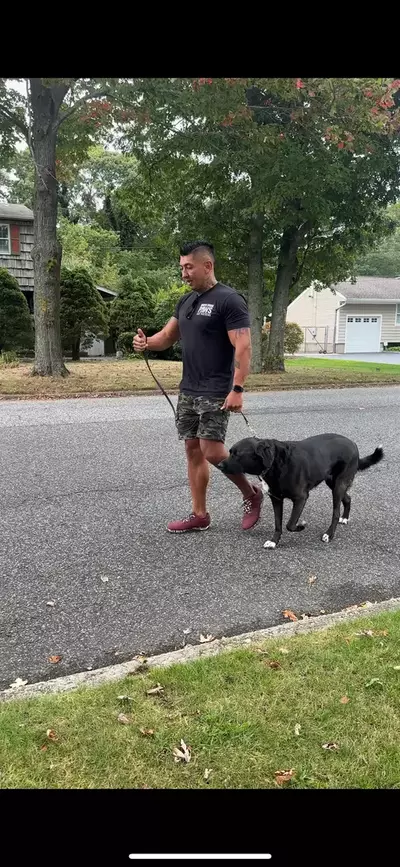 Leash pulling job in Terryville
