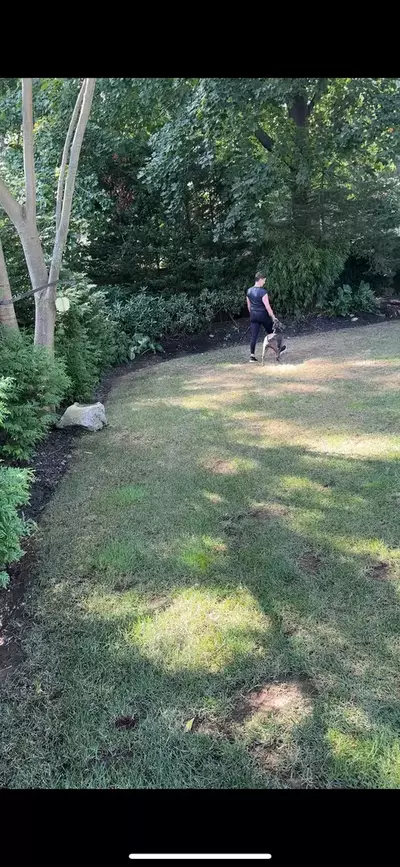 E-Collar job in Syosset